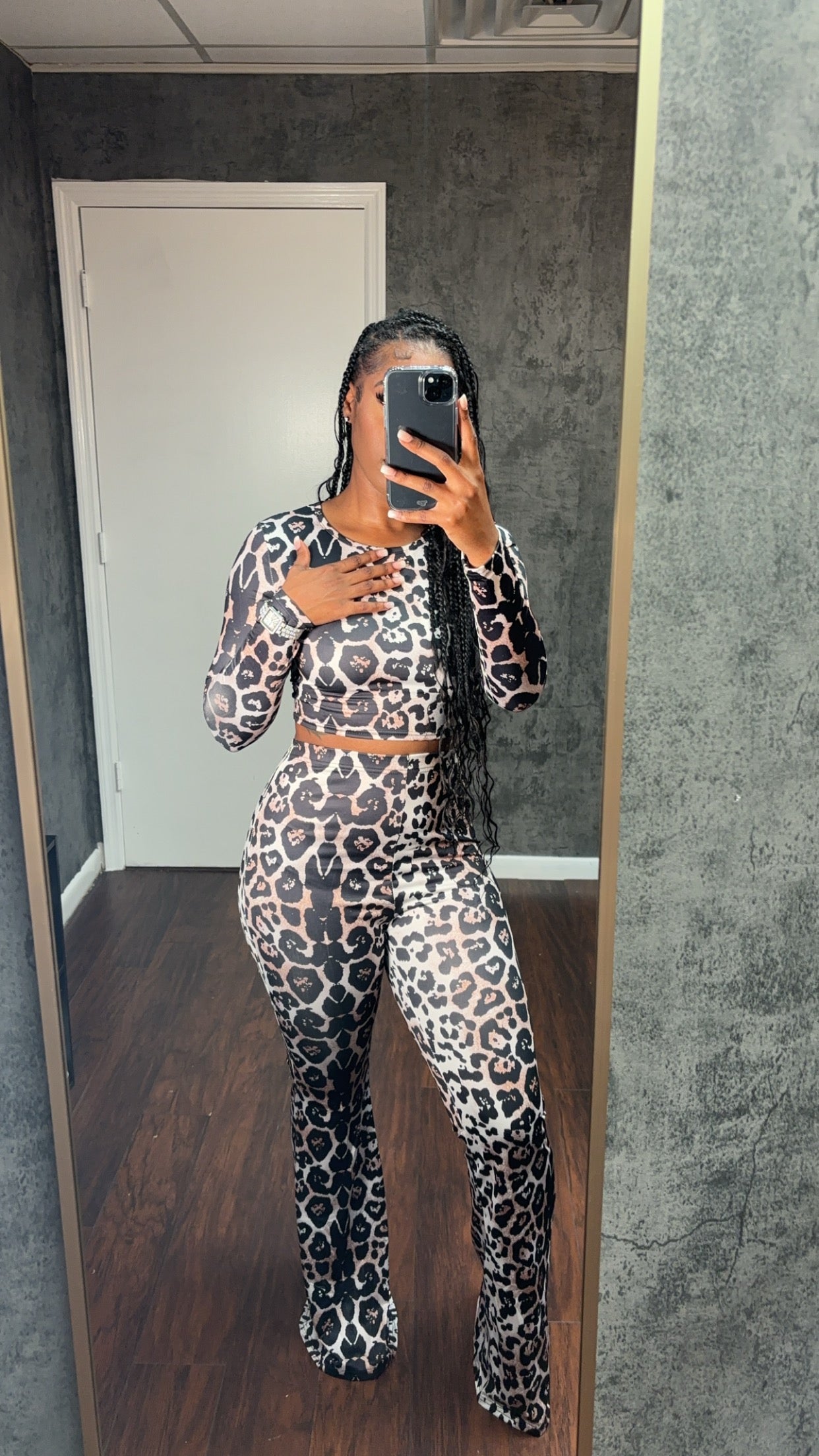Cheetah set